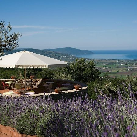 Borgo La Pietraia Hotel Paestum Ngoại thất bức ảnh