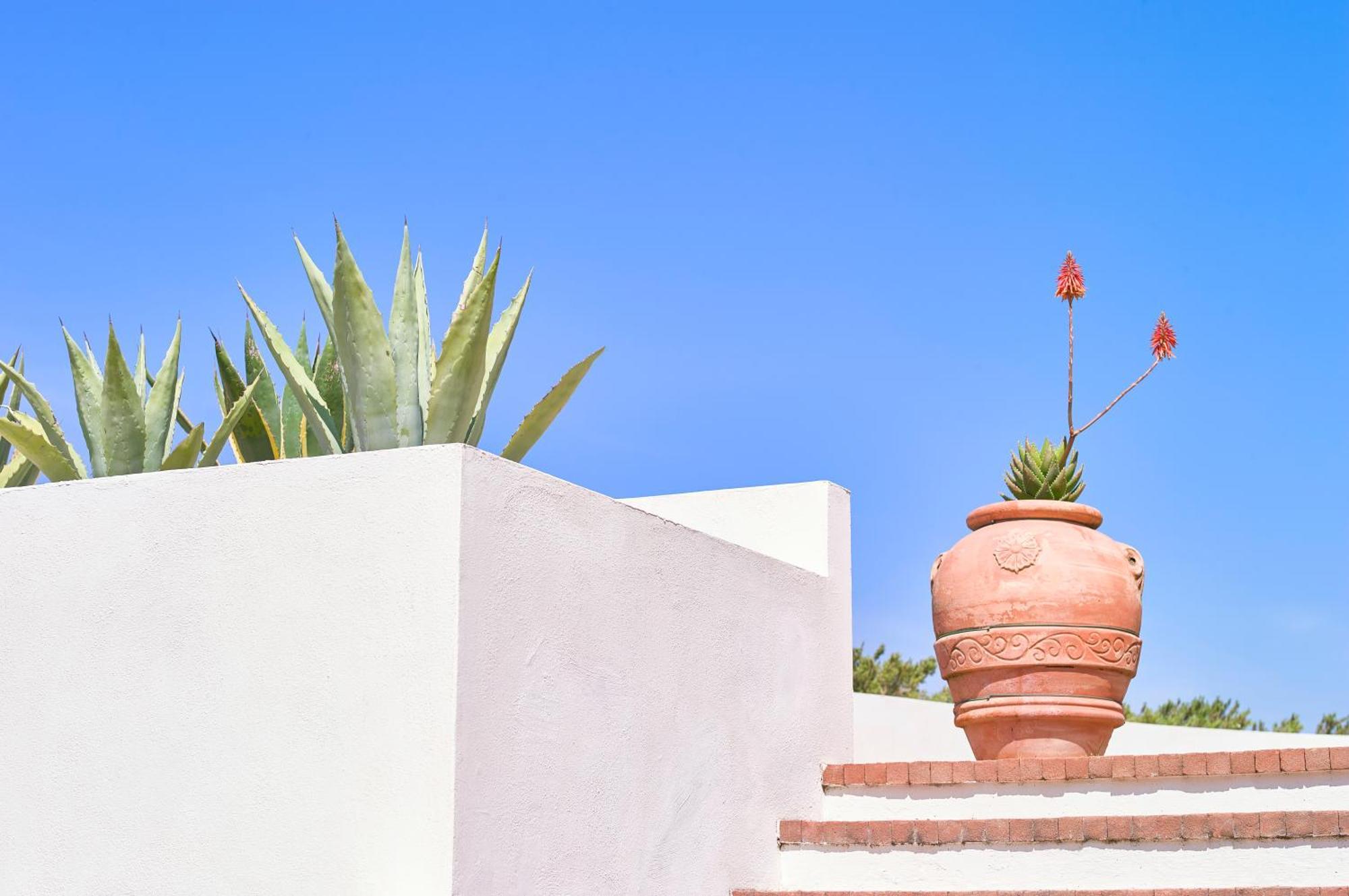 Borgo La Pietraia Hotel Paestum Ngoại thất bức ảnh